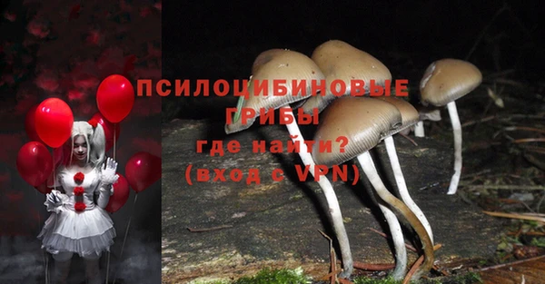 мет Арсеньев