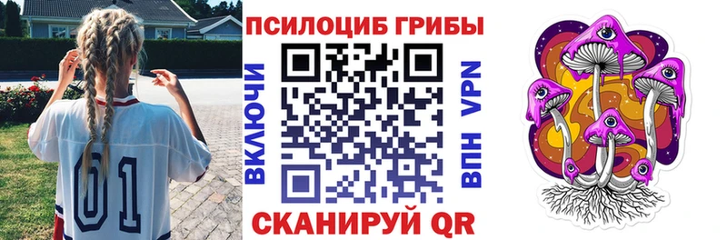 Галлюциногенные грибы Psilocybe  Сокол 