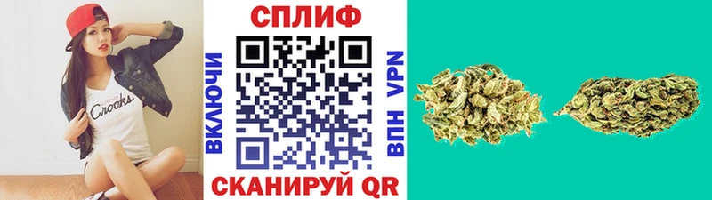 Марихуана индика Сокол